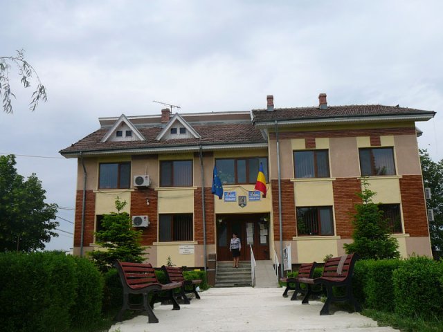 primaria radovanu